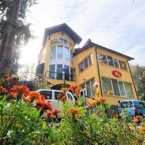 Hotel Alice